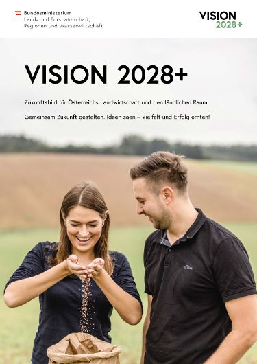 Vision 2028+